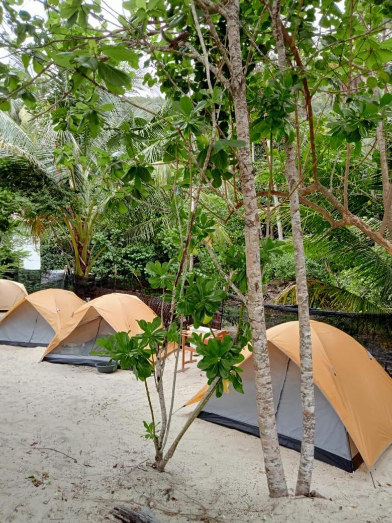 Campsite Campstay *